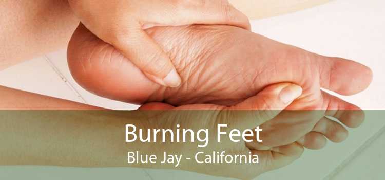 Burning Feet Blue Jay - California
