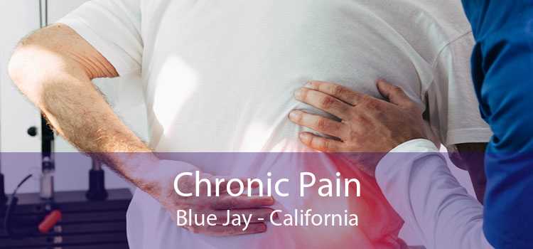 Chronic Pain Blue Jay - California