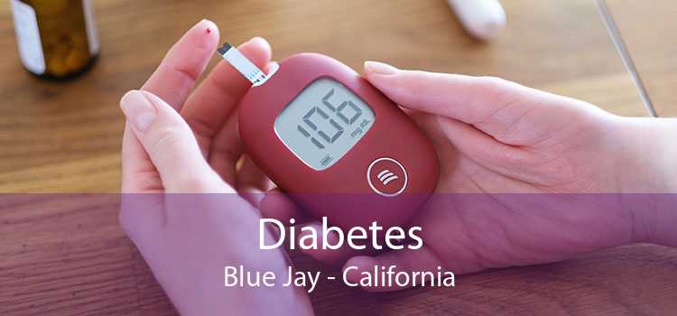 Diabetes Blue Jay - California