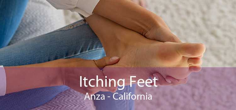Itching Fееt Anza - California