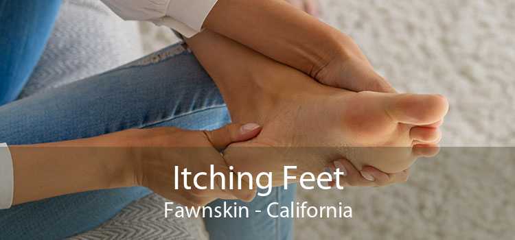 Itching Fееt Fawnskin - California