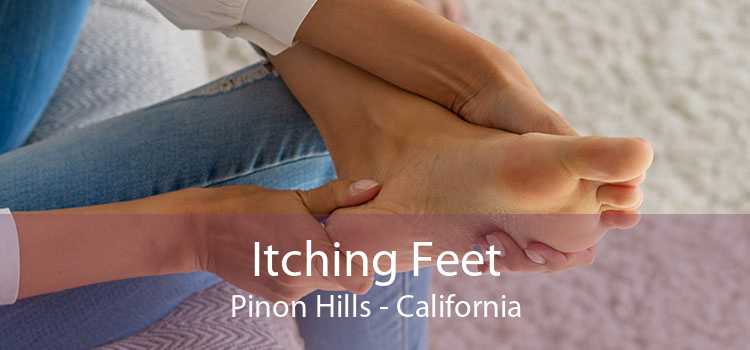 Itching Fееt Pinon Hills - California