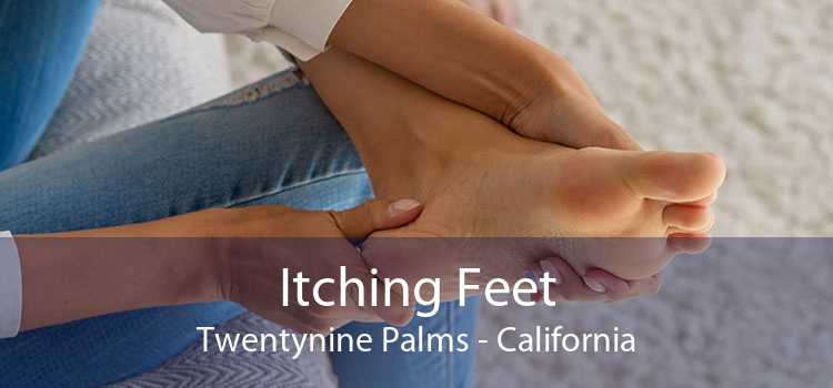 Itching Fееt Twentynine Palms - California